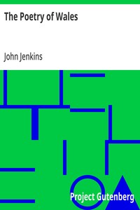 Cover of The Poetry of Wales — Themes and Context